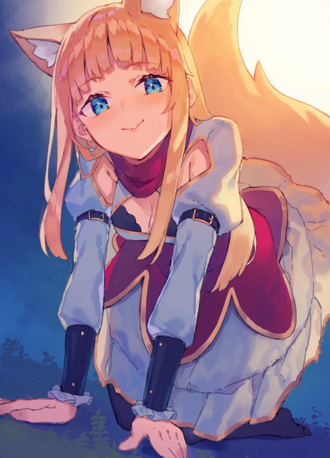 animal_ears, bra, dress, rizlet_of_loggervia, shin_no_nakama_ja_nai_to_yuusha_no_party_wo_oidasareta_node_henkyou_de_slow_life_suru_koto_ni_shimashita, tail, yasumo