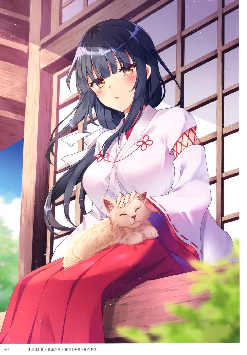 miko, neko, tetsu_tissue