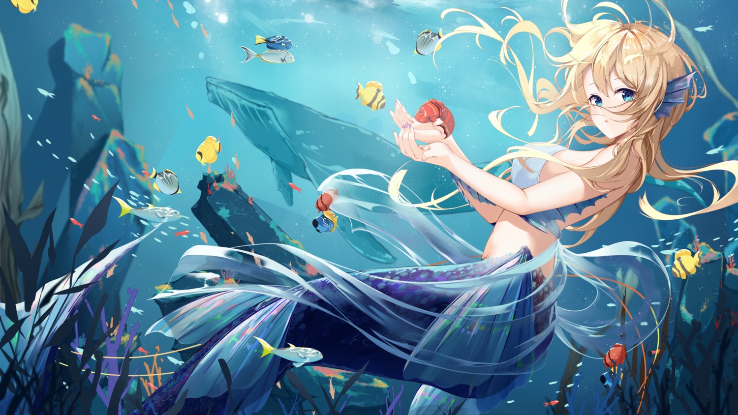 bikini_top, daidai_gege, mermaid, monster_girl, swimsuits, tail
