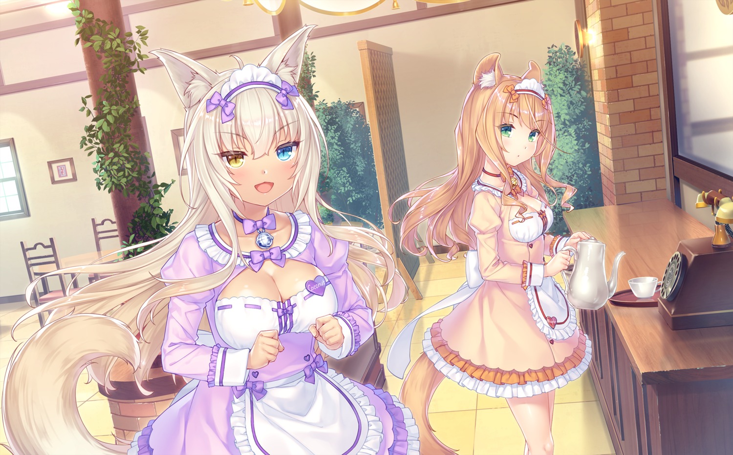 animal_ears, cleavage, coconut, game_cg, heterochromia, maid, maple_(nekopara), neko_works