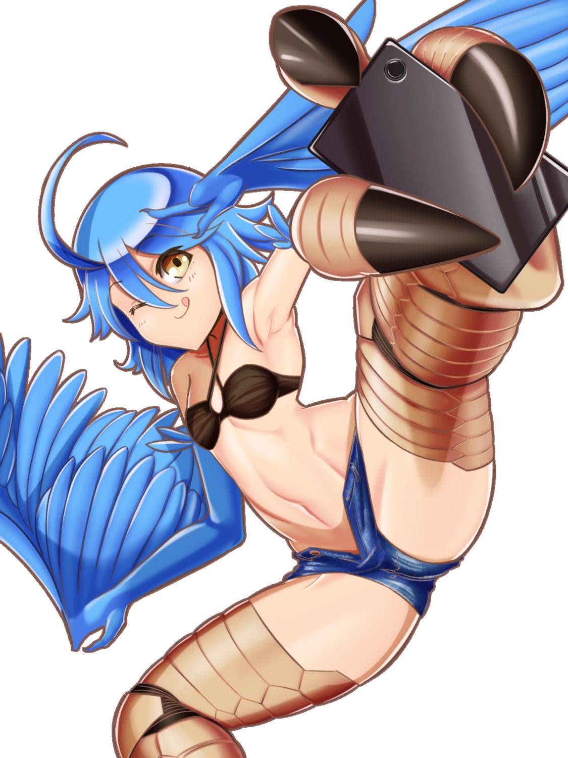 bikini_top, imaani, monster_girl, monster_musume_no_iru_nichijou, papi, swimsuits, wings