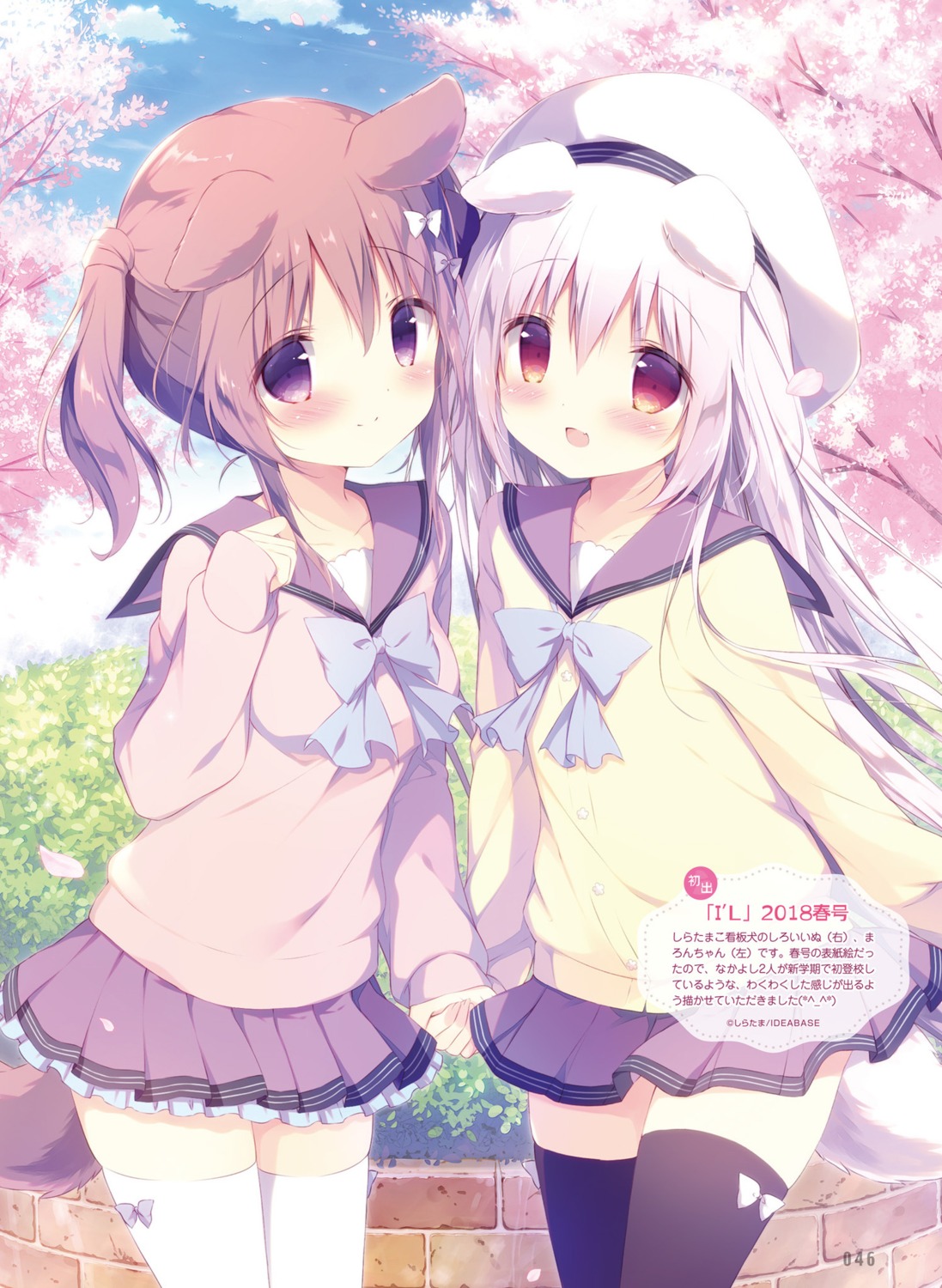 animal_ears, marron_(shiratama), seifuku, shiratama, shiroi_inu, sweater, tail, thighhighs
