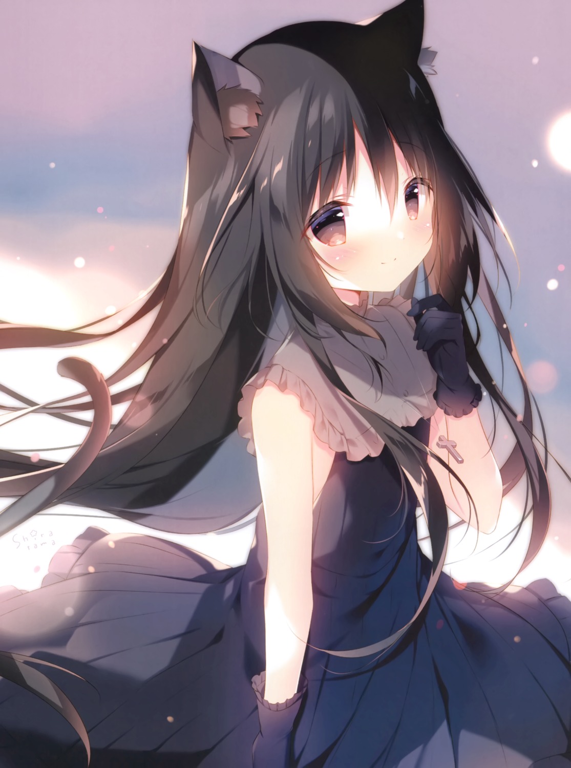 animal_ears, dress, hoshizora_tetsudou_to_shiro_no_tabi, nekomimi, noir_(hoshizora_tetsudou_to_shiro_no_tabi), shiratama, shiratamaco, skirt_lift