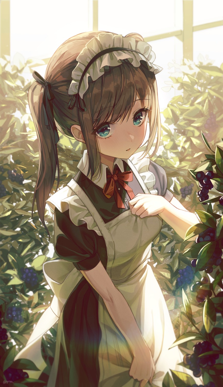 maid, ppi44