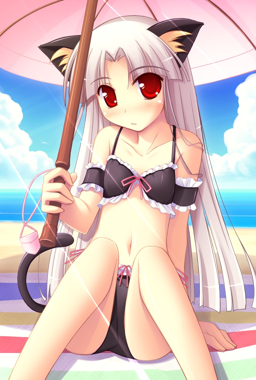 animal_ears, bikini, happiness, ko~cha, nekomimi, shikimori_ibuki, swimsuits, windmill