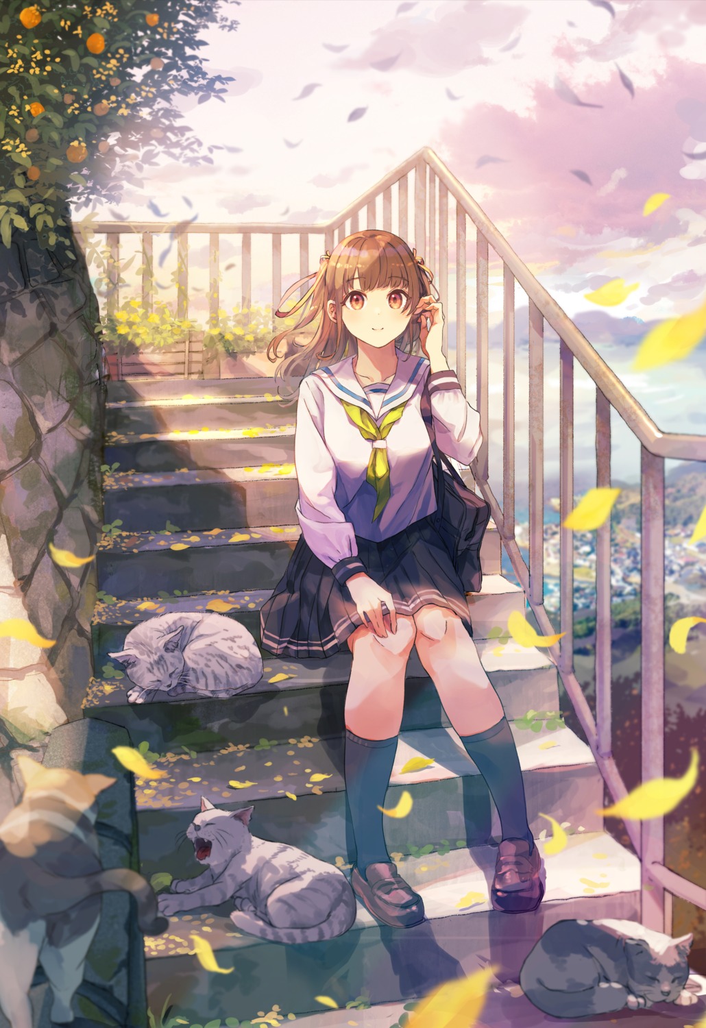 akira_(mr_akira), neko, seifuku