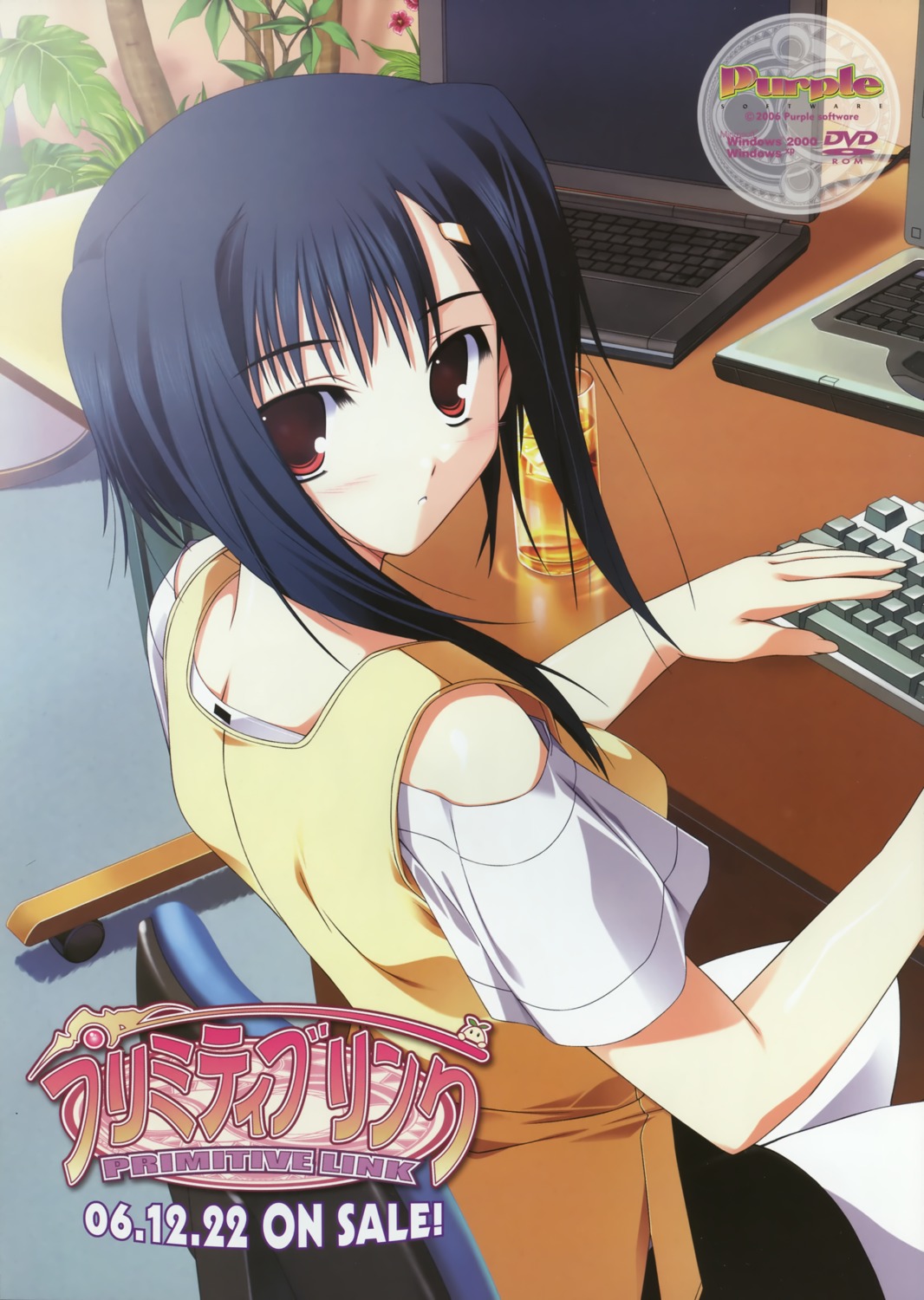 izumi_rikka, primitive_link