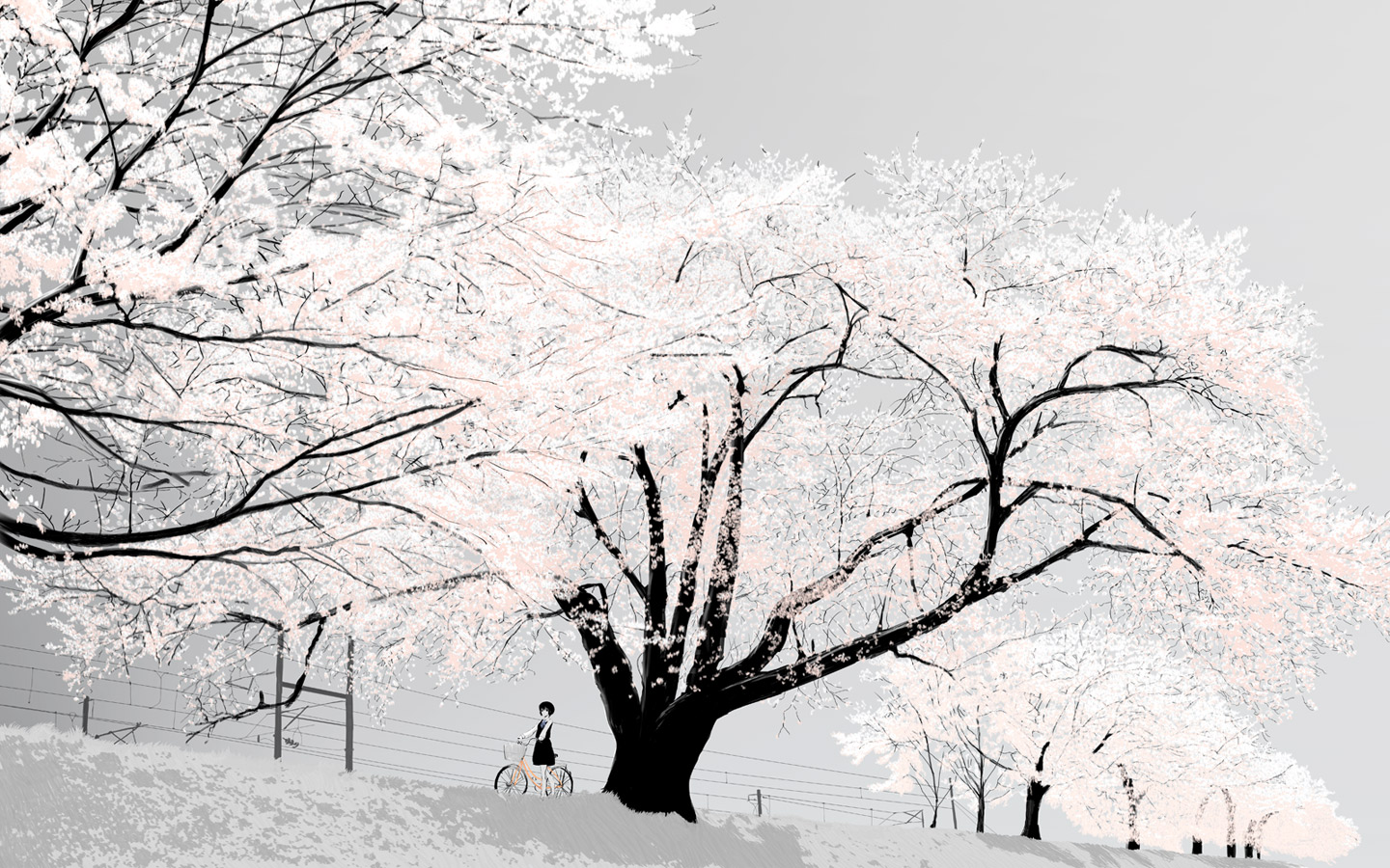 emukami, landscape, wallpaper