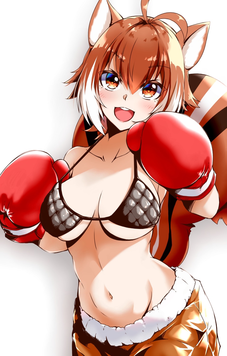 animal_ears, bikini_top, blazblue, chukachuka, makoto_nanaya, swimsuits, tail