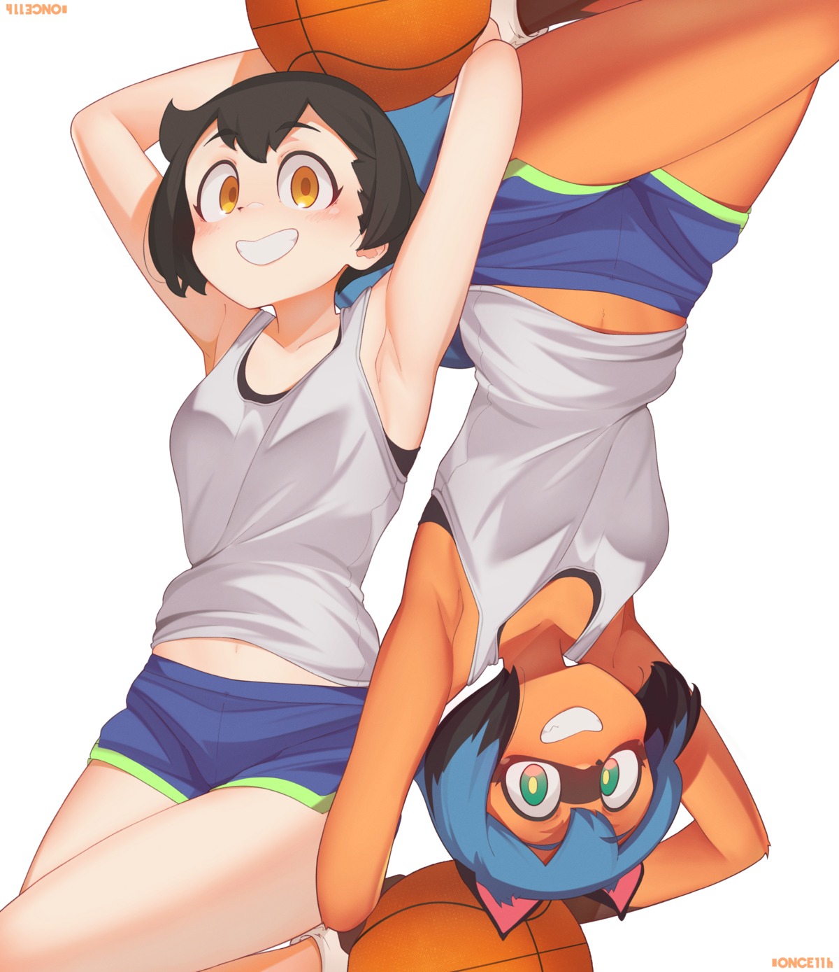 animal_ears, basketball, brand_new_animal, kagemori_michiru, monster_girl, once_11h, tail