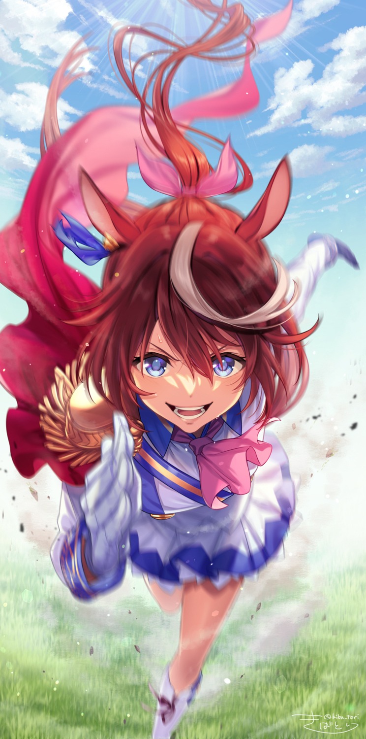 animal_ears, kiba_tori, tokai_teio_(umamusume), uma_musume_pretty_derby, uniform
