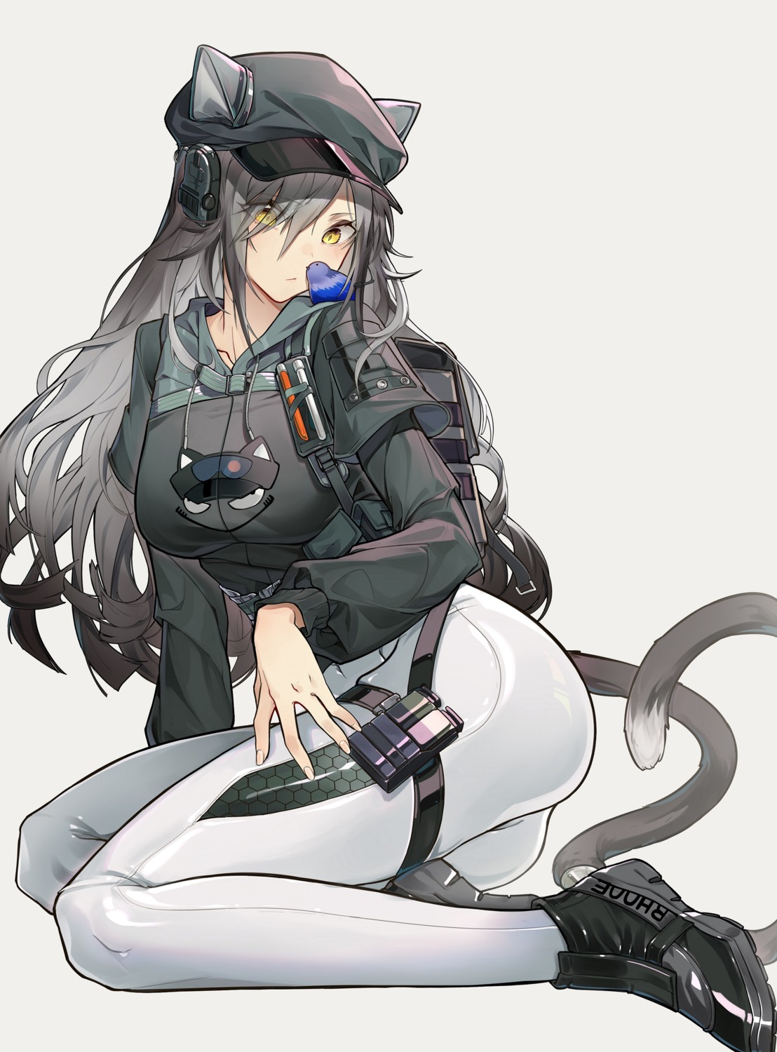 animal_ears, arknights, dpea9, garter, schwarz_(arknights), tail
