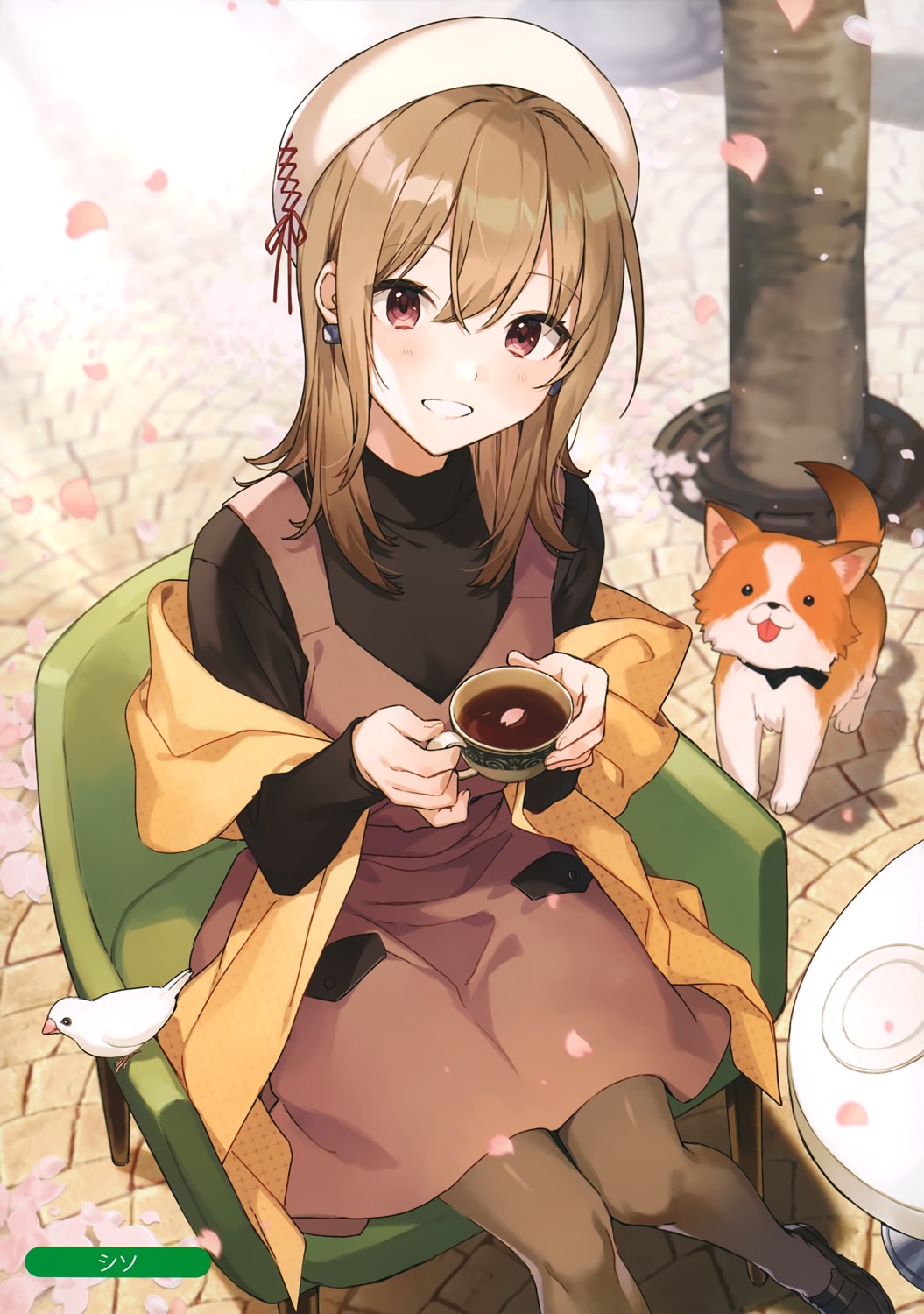 dress, pantyhose, shirako_miso, sweater