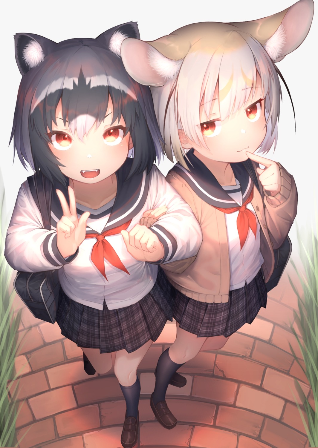 animal_ears, common_raccoon, fennec_(kemono_friends), kemono_friends, seifuku, st.takuma, sweater