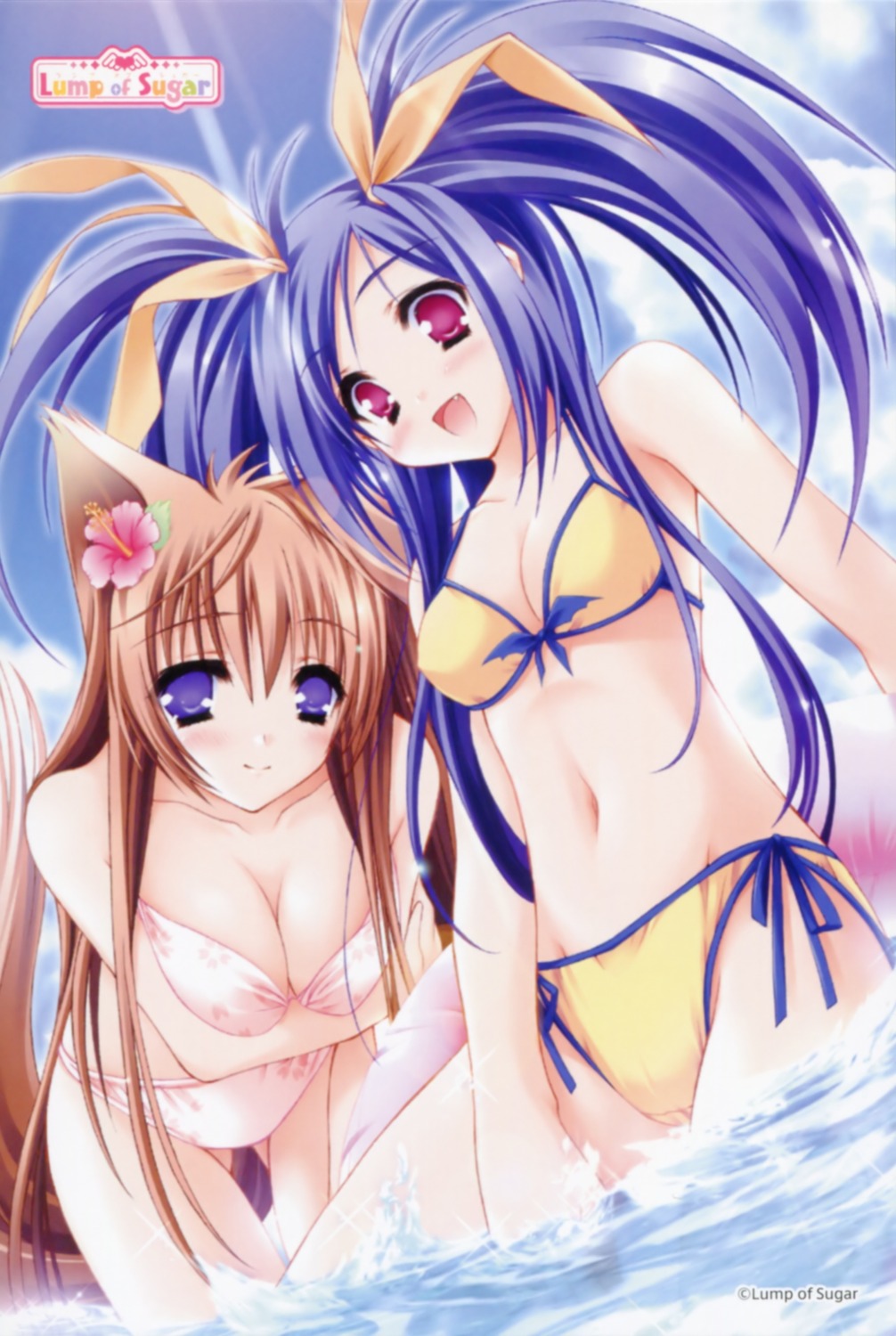 bikini, card, cleavage, kawai_ameri, mito_mashiro, moekibara_fumitake, swimsuits, tayutama