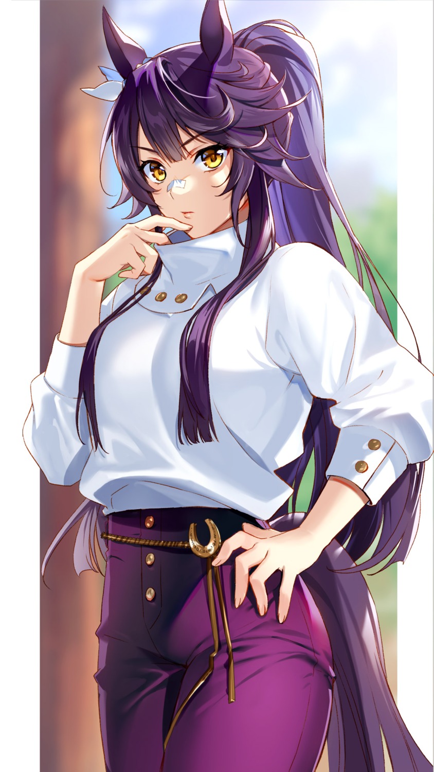 animal_ears, bandaid, murakami_yuichi, narita_brian_(umamusume), tail, uma_musume_pretty_derby