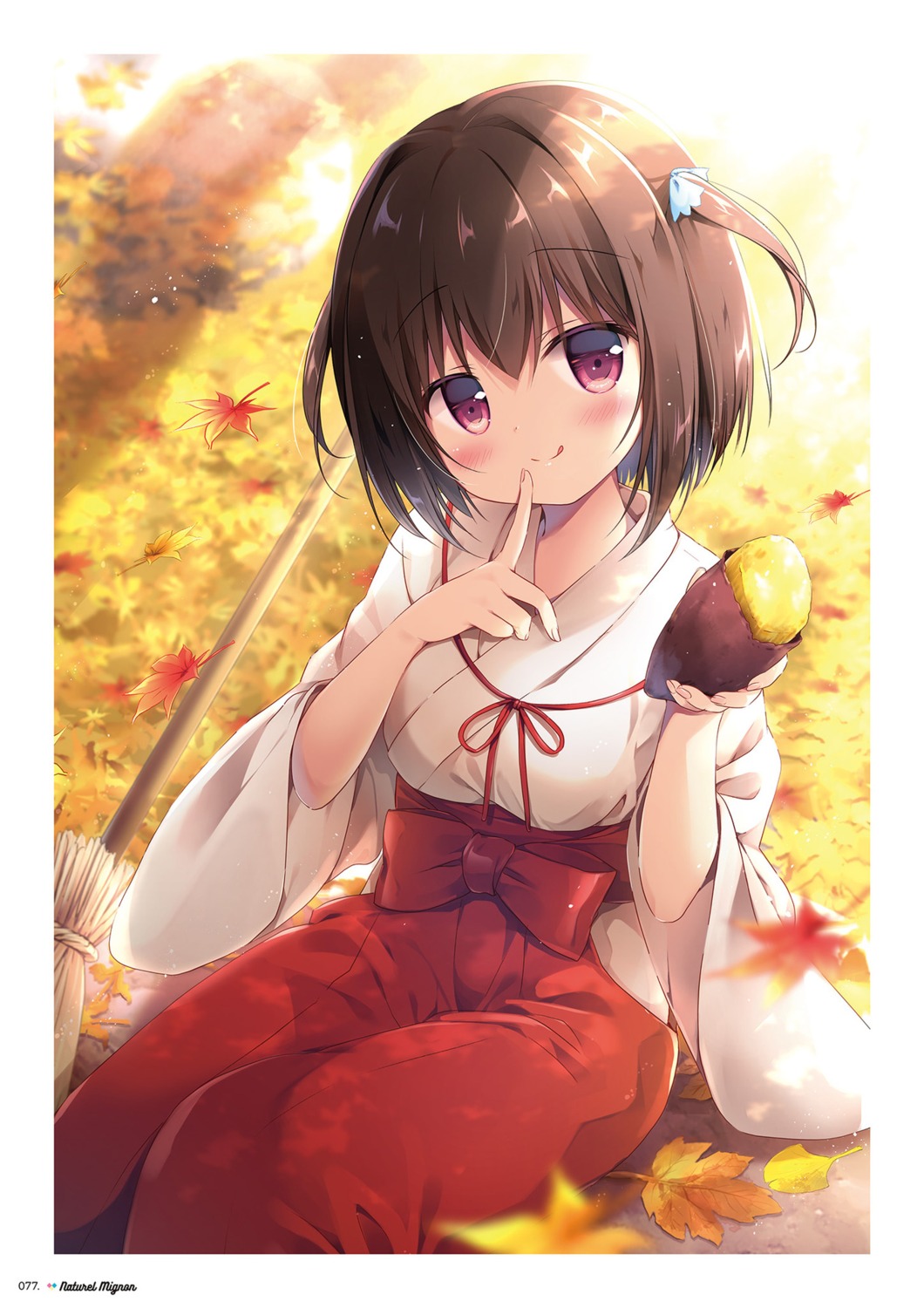 miko, miyasaka_naco, neru_(canvas+garden)