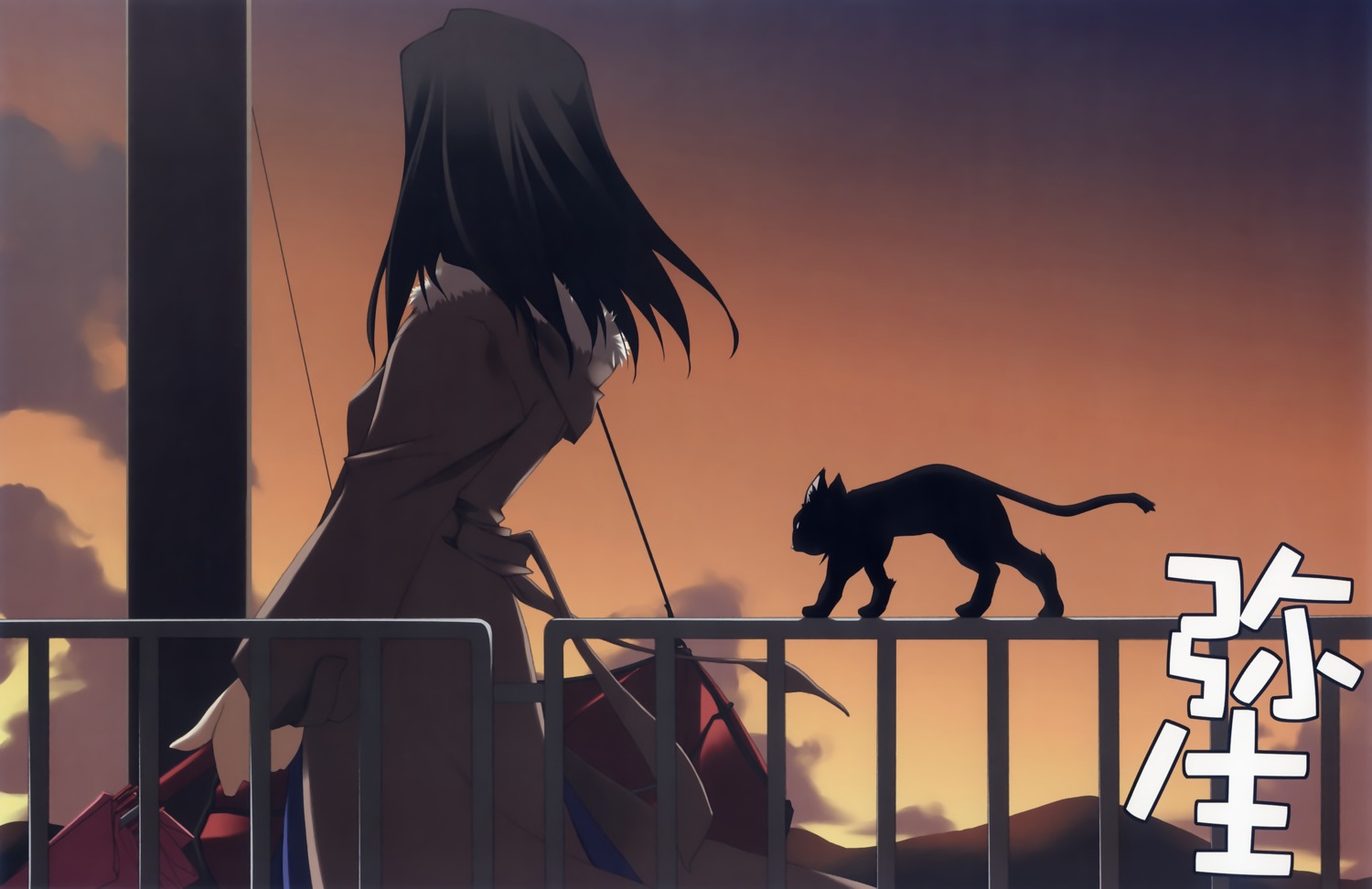 angyadow, neko, shikei