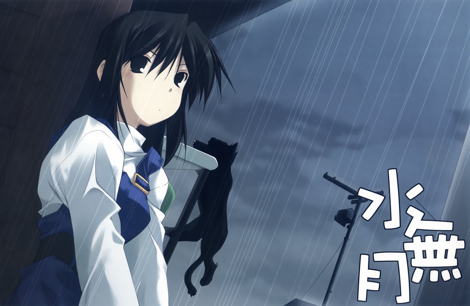 angyadow, neko, shikei