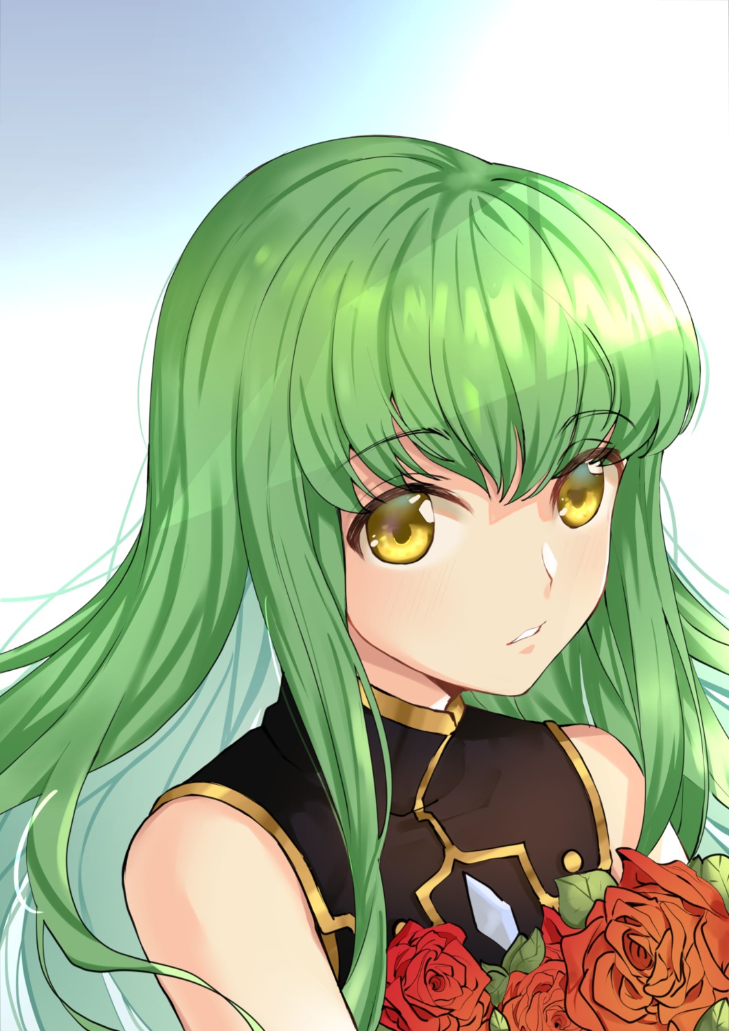 ai-nohikari, c.c., code_geass