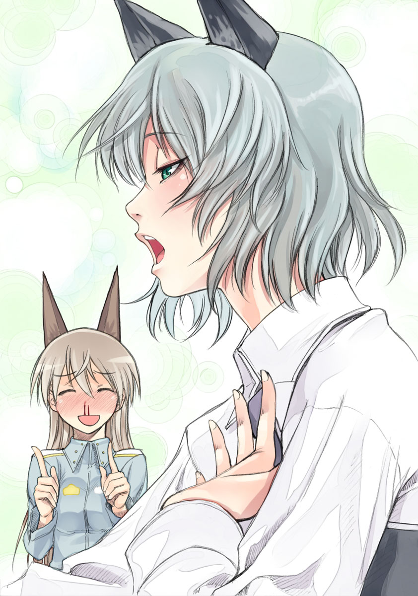 animal_ears, as-special, eila_ilmatar_juutilainen, sanya_v_litvyak, strike_witches