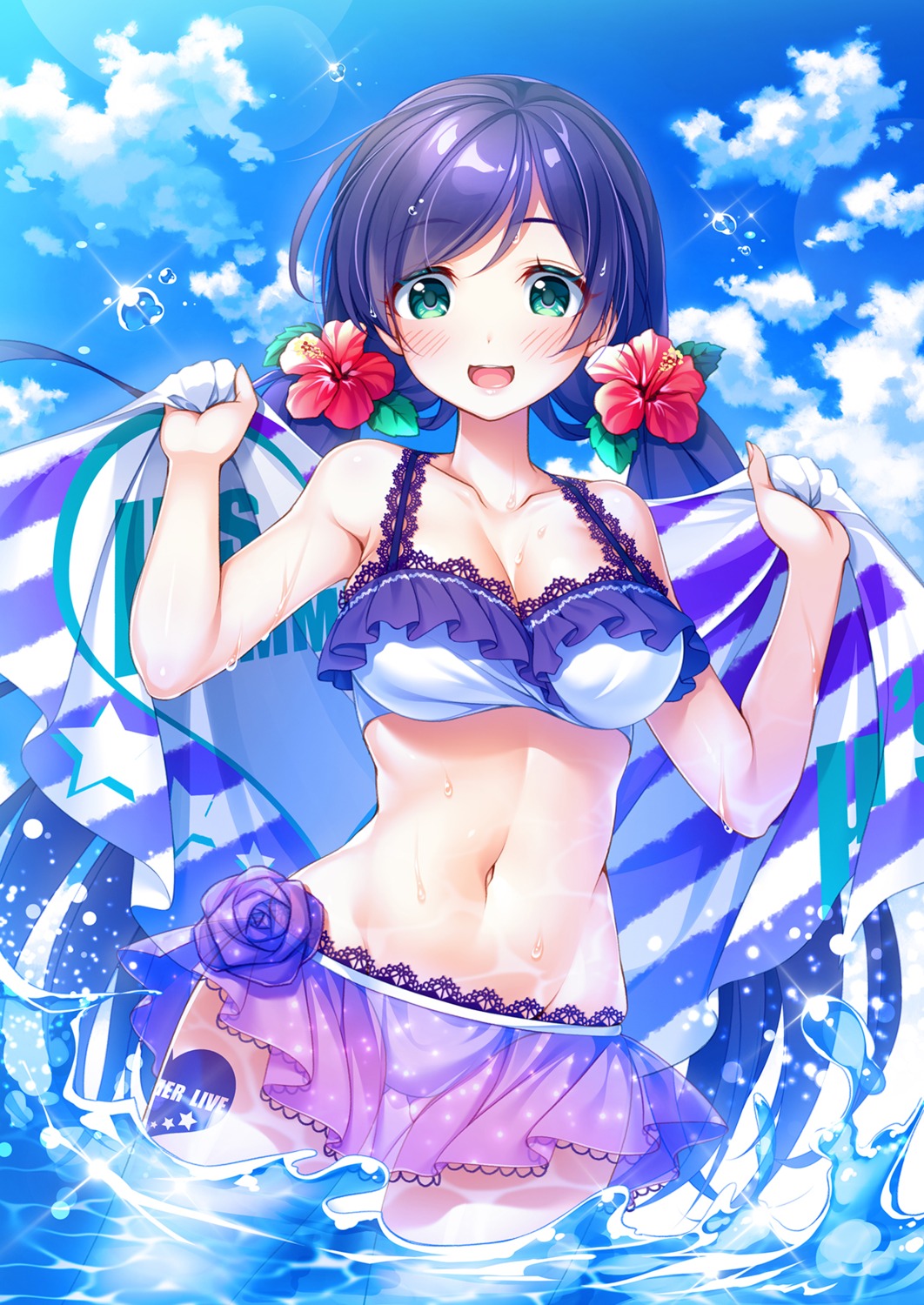 bikini, cleavage, love_live!, love_live!_(series), saikyo_pink_fp, see_through, swimsuits, toujou_nozomi, wet