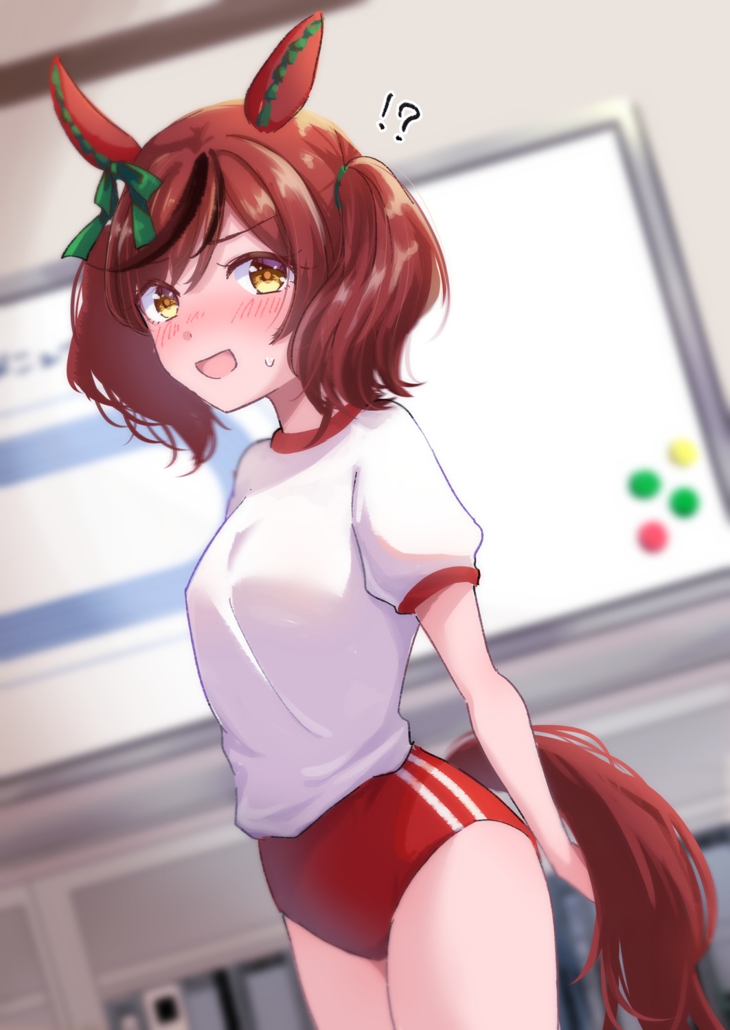 animal_ears, buruma, chizoku_sawa, gym_uniform, nice_nature_(umamusume), tail, uma_musume_pretty_derby