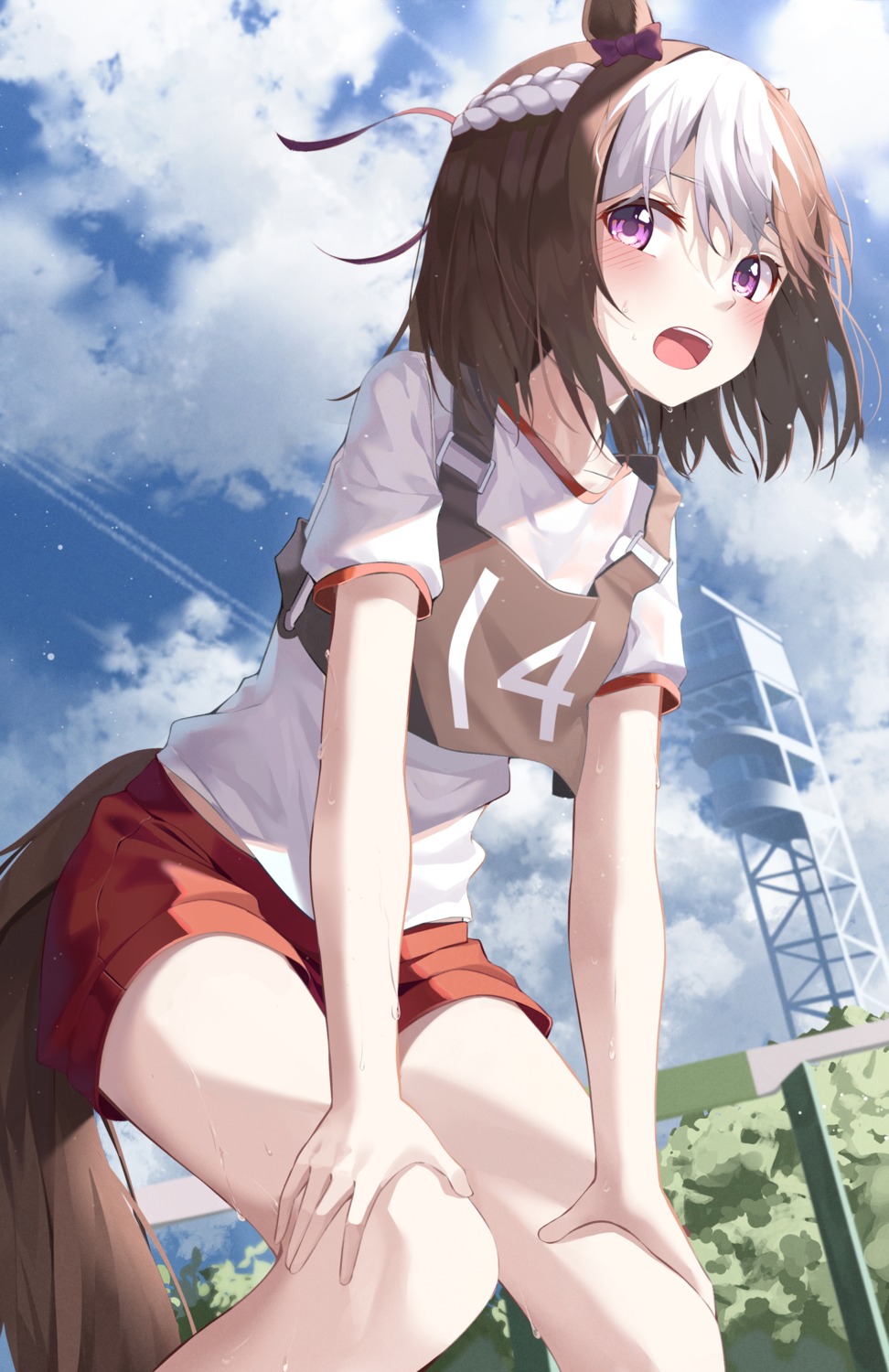 animal_ears, gym_uniform, kanzi, special_week_(umamusume), tail, uma_musume_pretty_derby