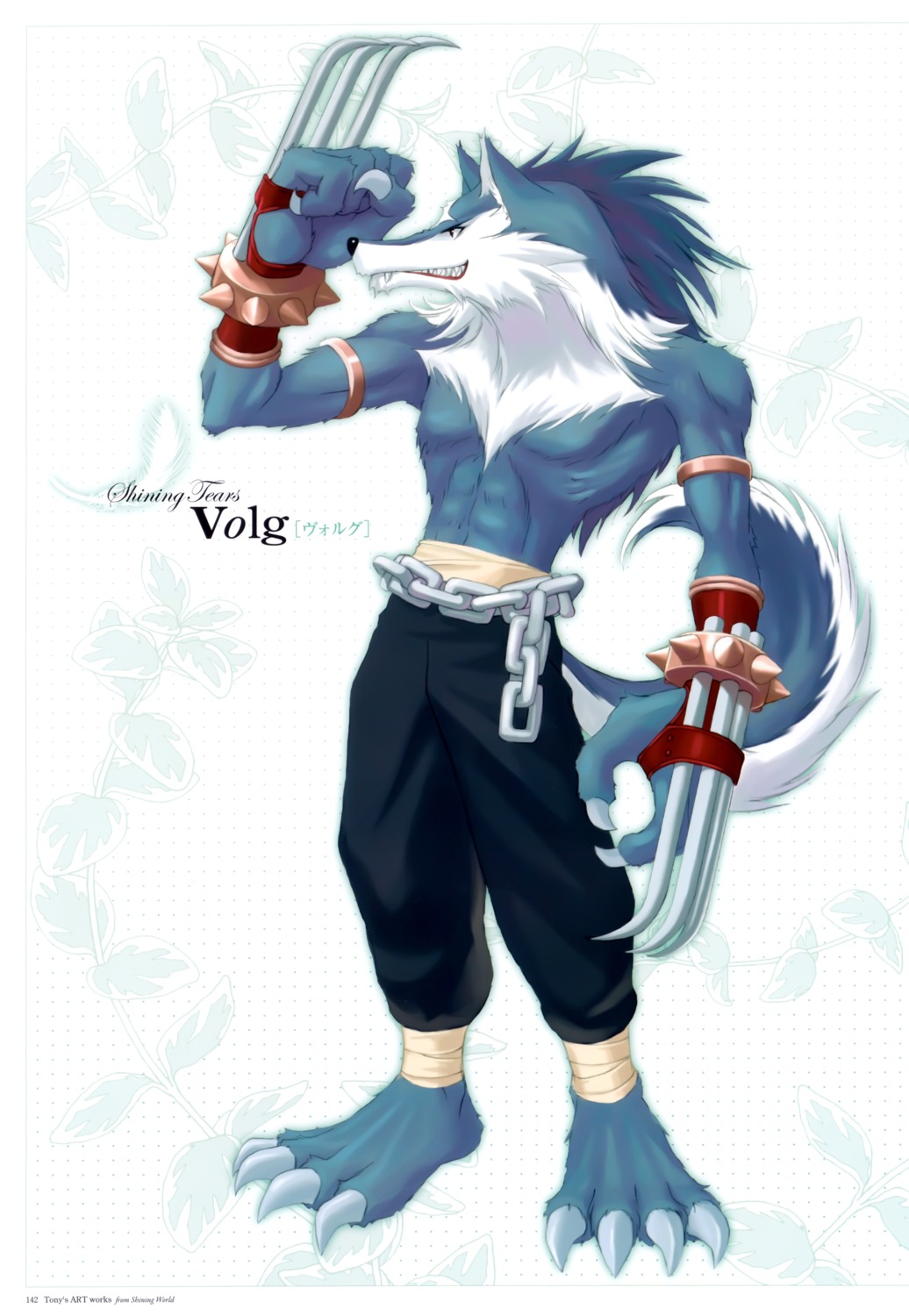 male, shining_tears, shining_world, tony_taka, volg