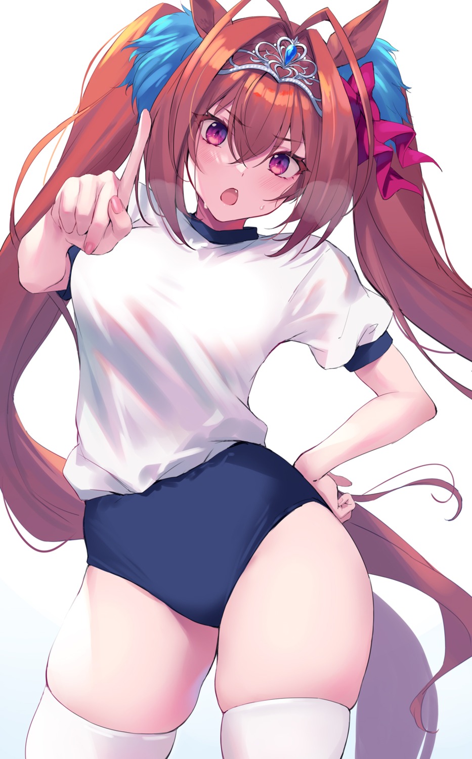 animal_ears, buruma, daiwa_scarlet_(umamusume), fukai_ryosuke, gym_uniform, tail, thighhighs, uma_musume_pretty_derby