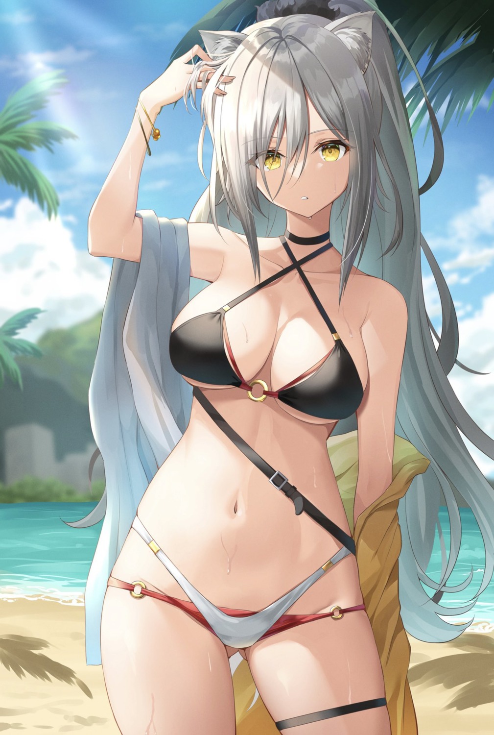 animal_ears, arknights, bikini, garter, kanaria_hisagi, nekomimi, schwarz_(arknights), swimsuits