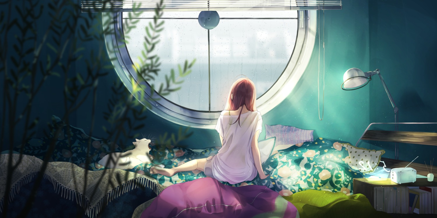 maeda_mic, neko, see_through