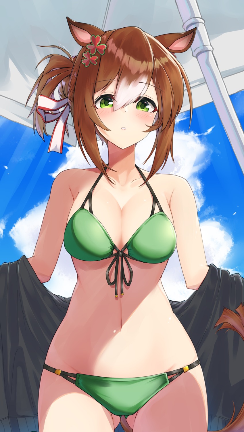 animal_ears, bikini, fine_motion_(umamusume), komb, swimsuits, tail, uma_musume_pretty_derby