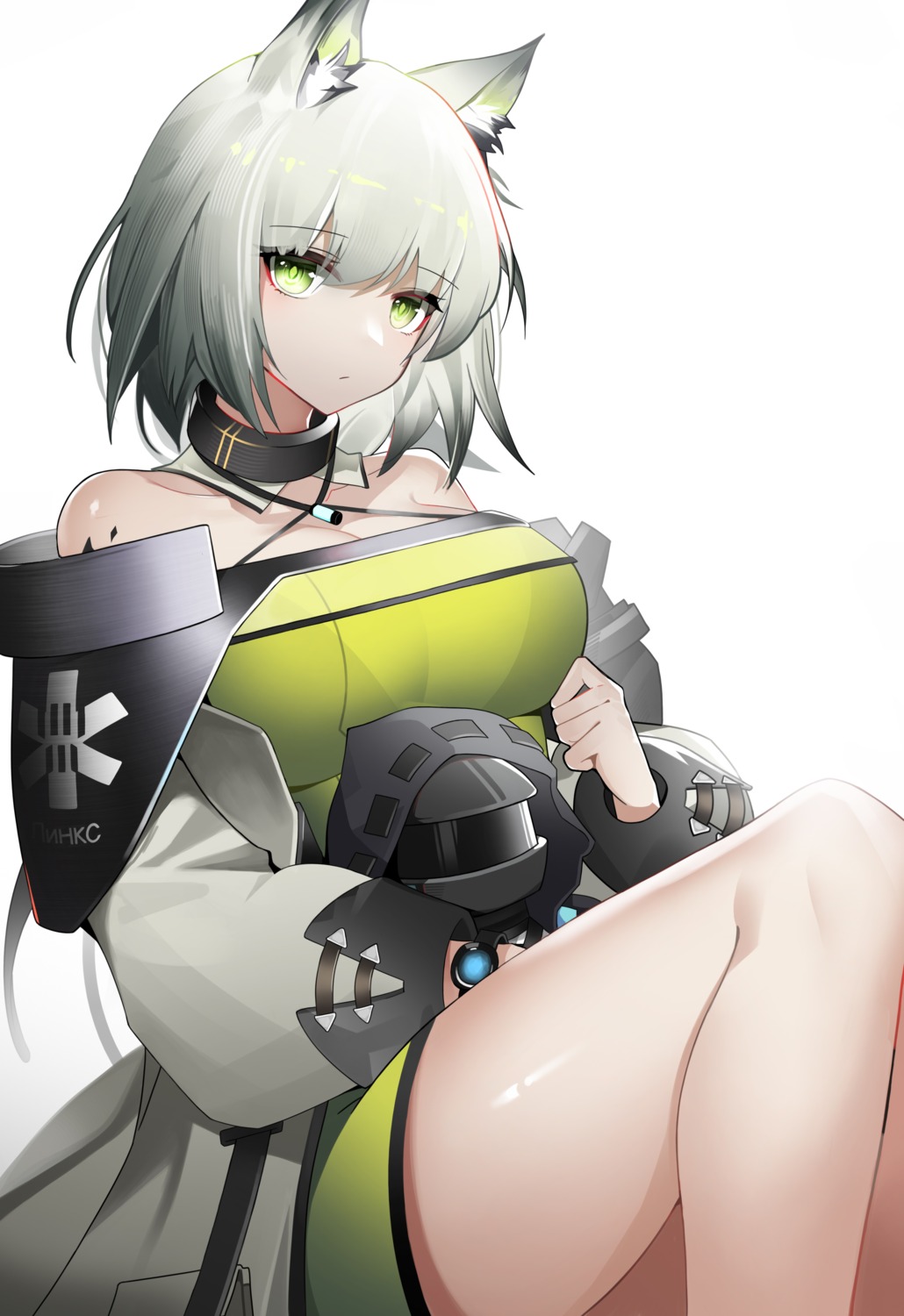 animal_ears, arknights, kal'tsit_(arknights), ness_(pjw0168), skirt_lift