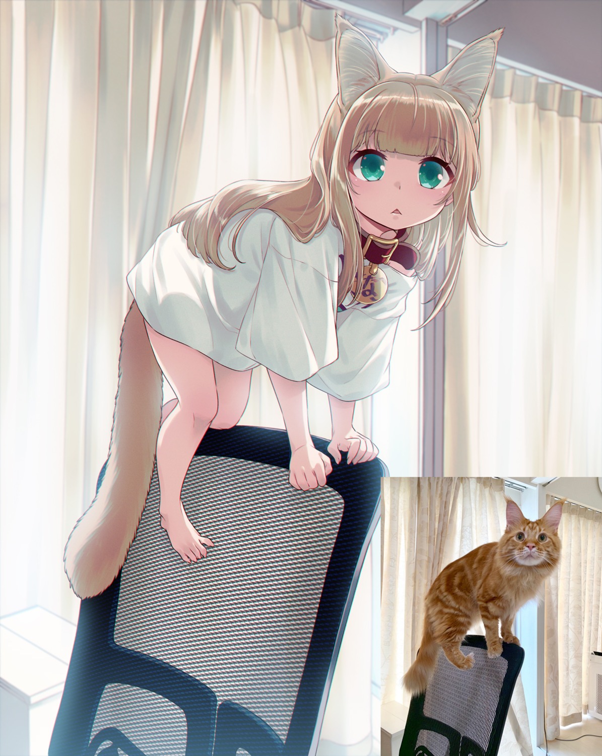 40hara, animal_ears, kinako_(40hara), neko, nekomimi, photo, tail