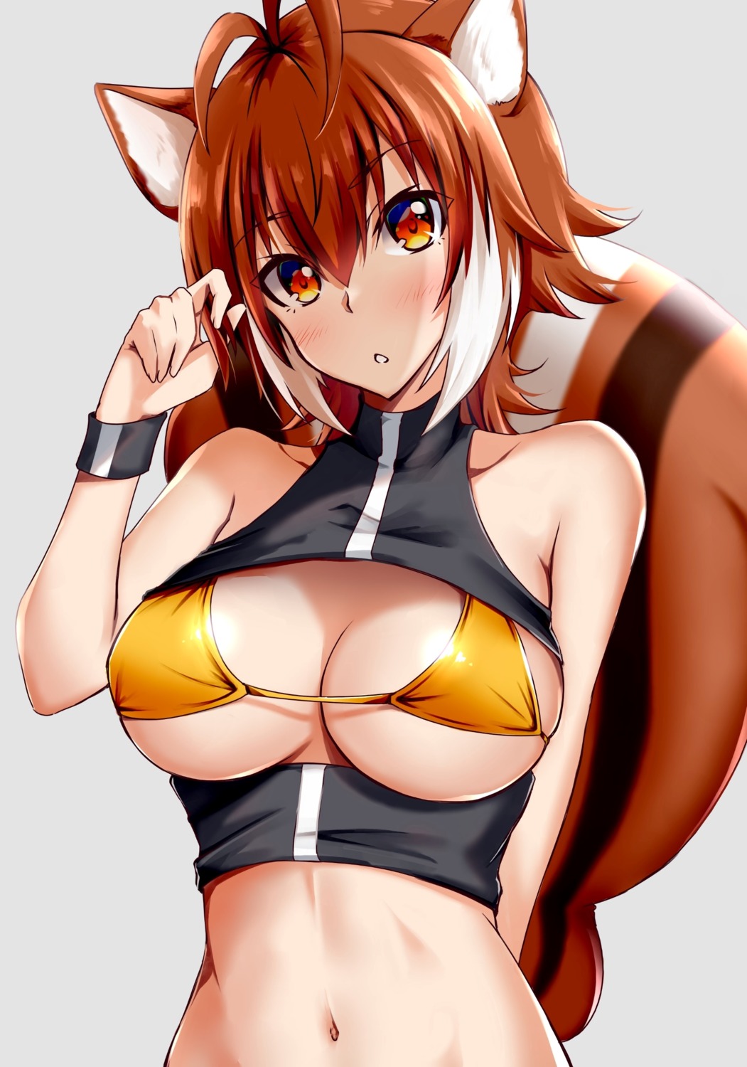 animal_ears, bikini_top, blazblue, blazblue:_calamity_trigger, blazblue:_chronophantasma, blazblue:_continuum_shift, chukachuka, makoto_nanaya, open_shirt, swimsuits, tail