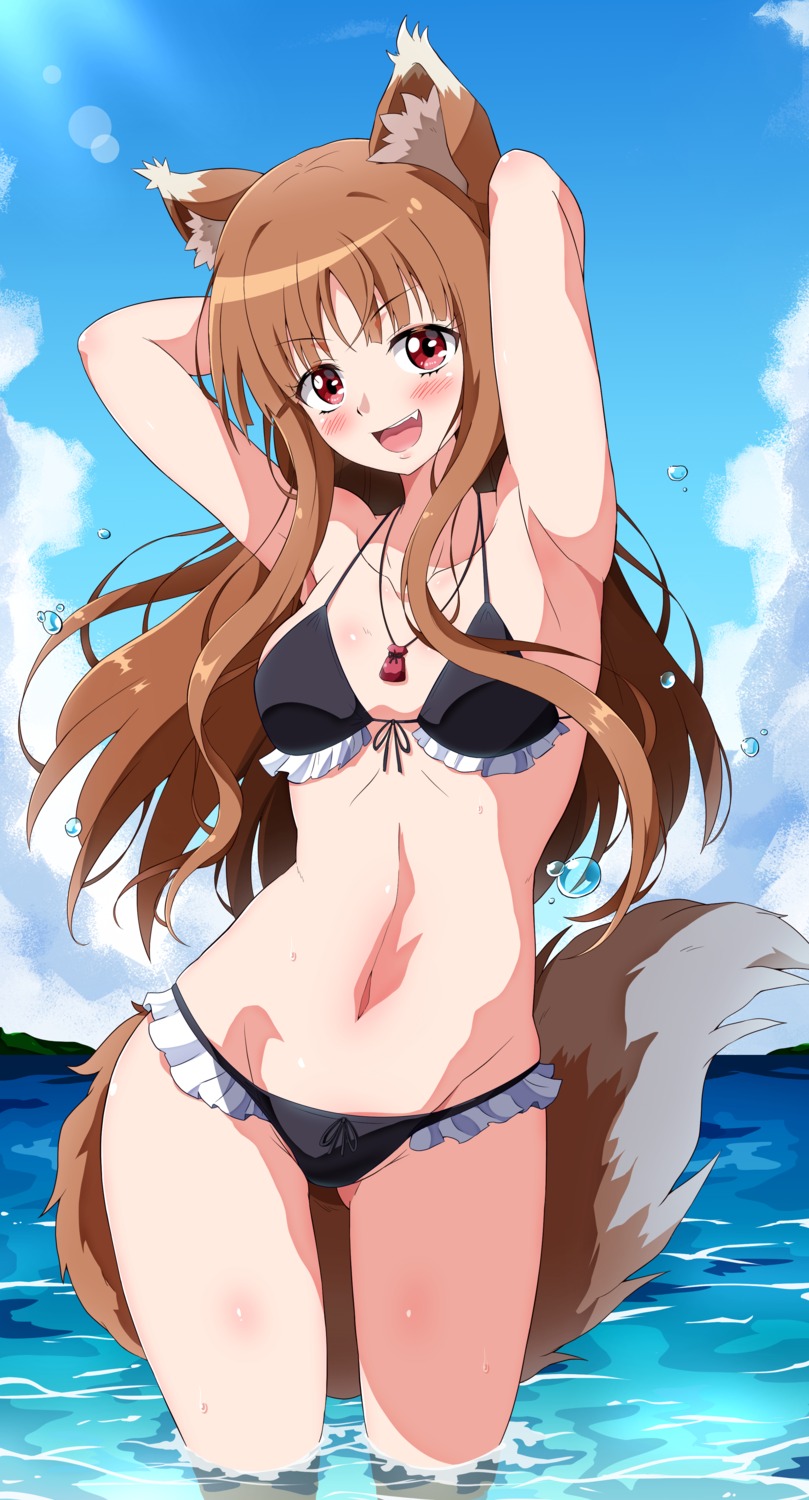 animal_ears, bikini, eggman_(pixiv28975023), holo, spice_and_wolf, swimsuits, tail, wet