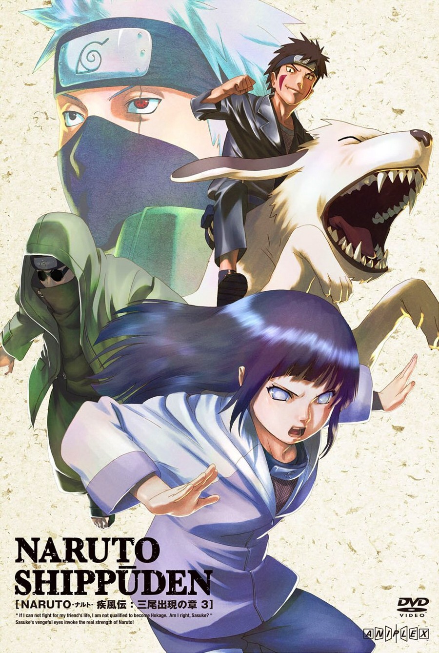 aburame_shino, akamaru_(naruto), hatake_kakashi, hyuuga_hinata, inuzuka_kiba, naruto, suzuki_hirofumi