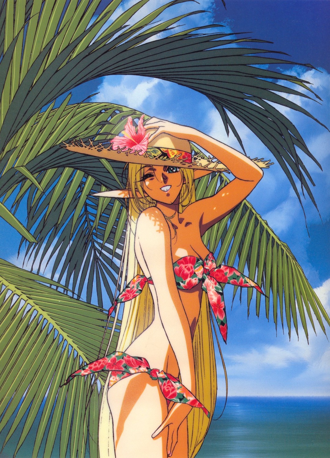 bikini, deedlit, elf, izubuchi_yutaka, landscape, pointy_ears, record_of_lodoss_war, screening