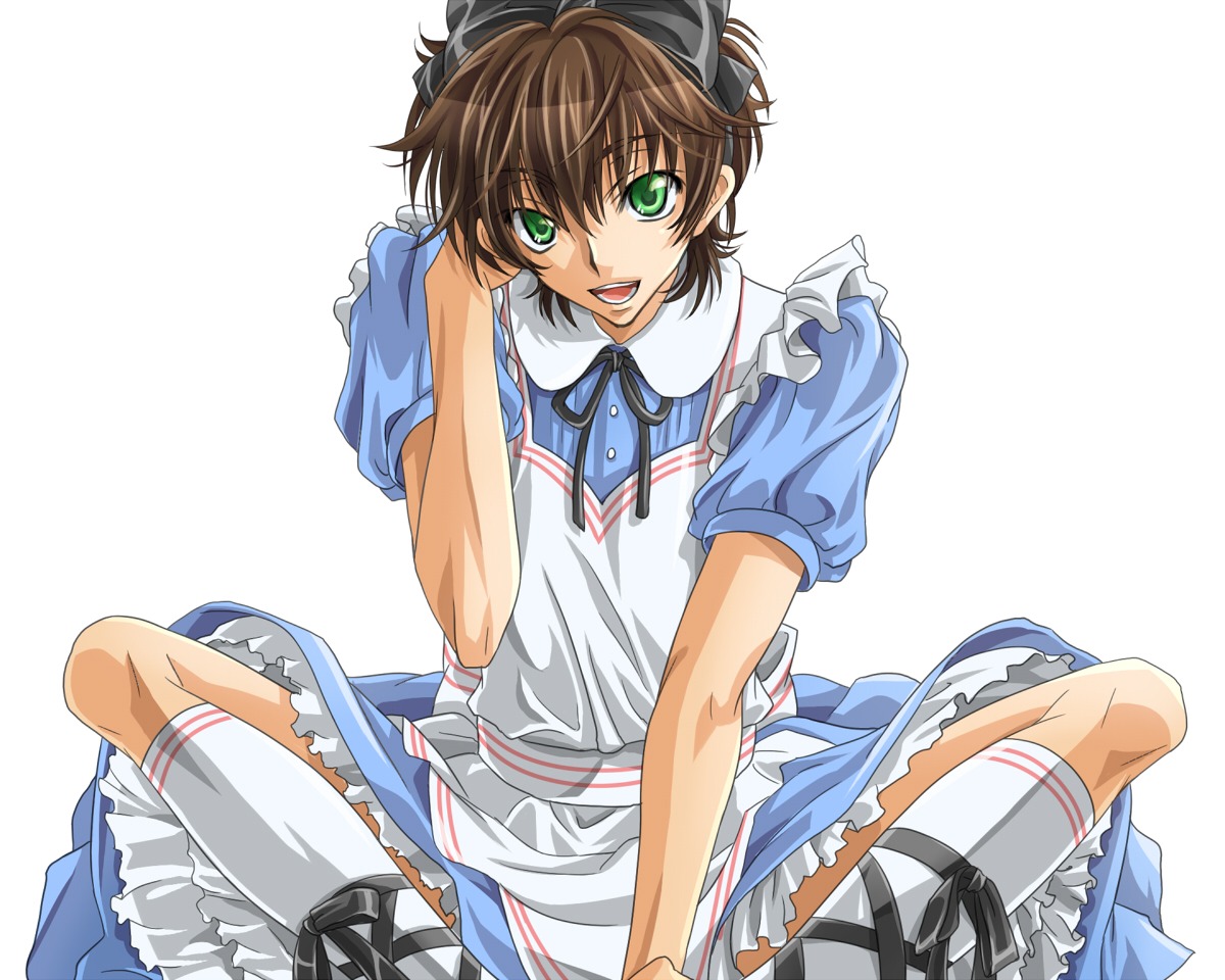 alice_in_wonderland, code_geass, cosplay, crossdress, dress, kururugi_suzaku, male, tooya