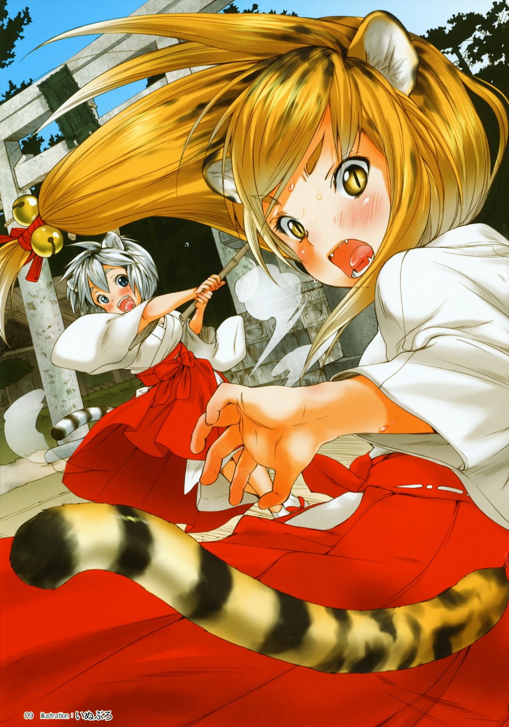 animal_ears, inuburo, miko, tail, toranoana