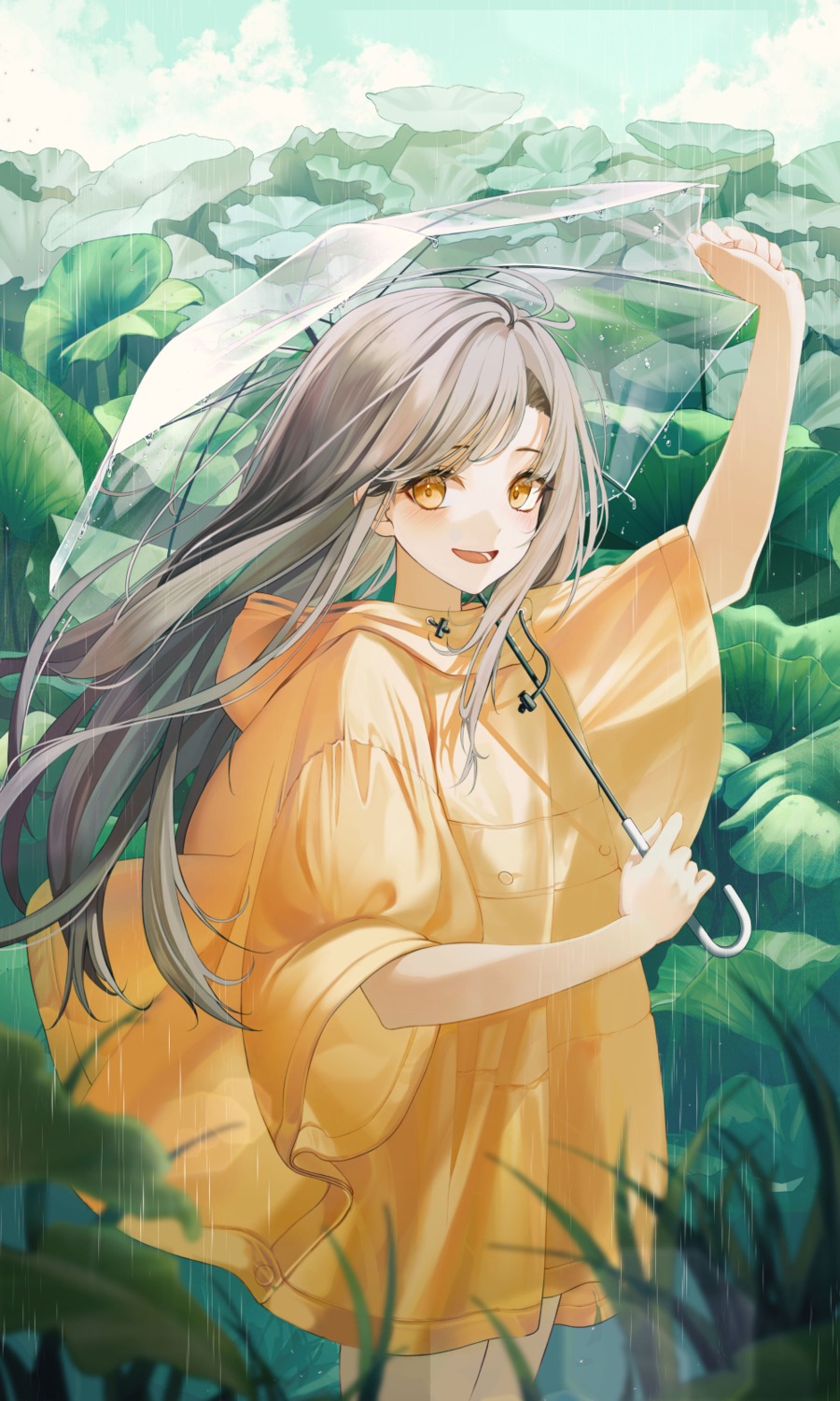 liso, umbrella