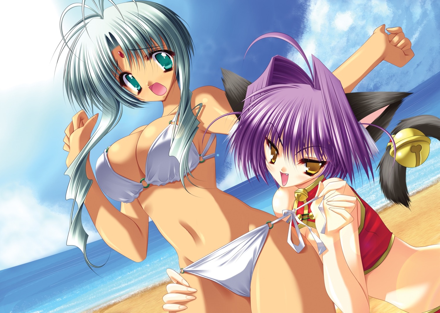 animal_ears, aoi_yuuji, bikini, cleavage, nekomimi, puni_puni_handmaid, swimsuits
