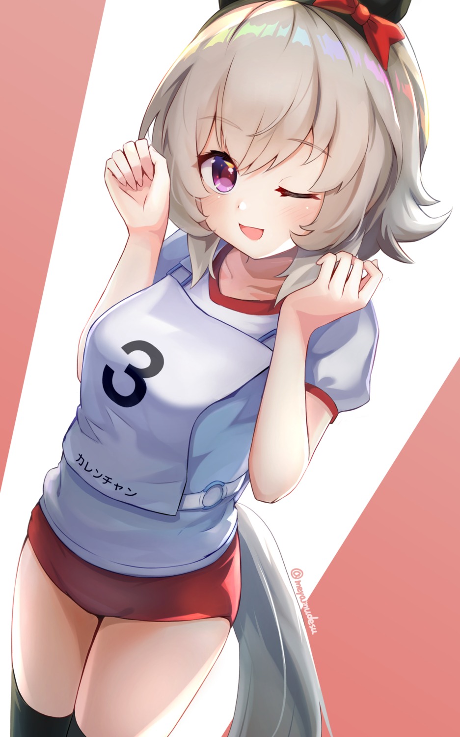 animal_ears, buruma, gym_uniform, meyamu, tail, thighhighs