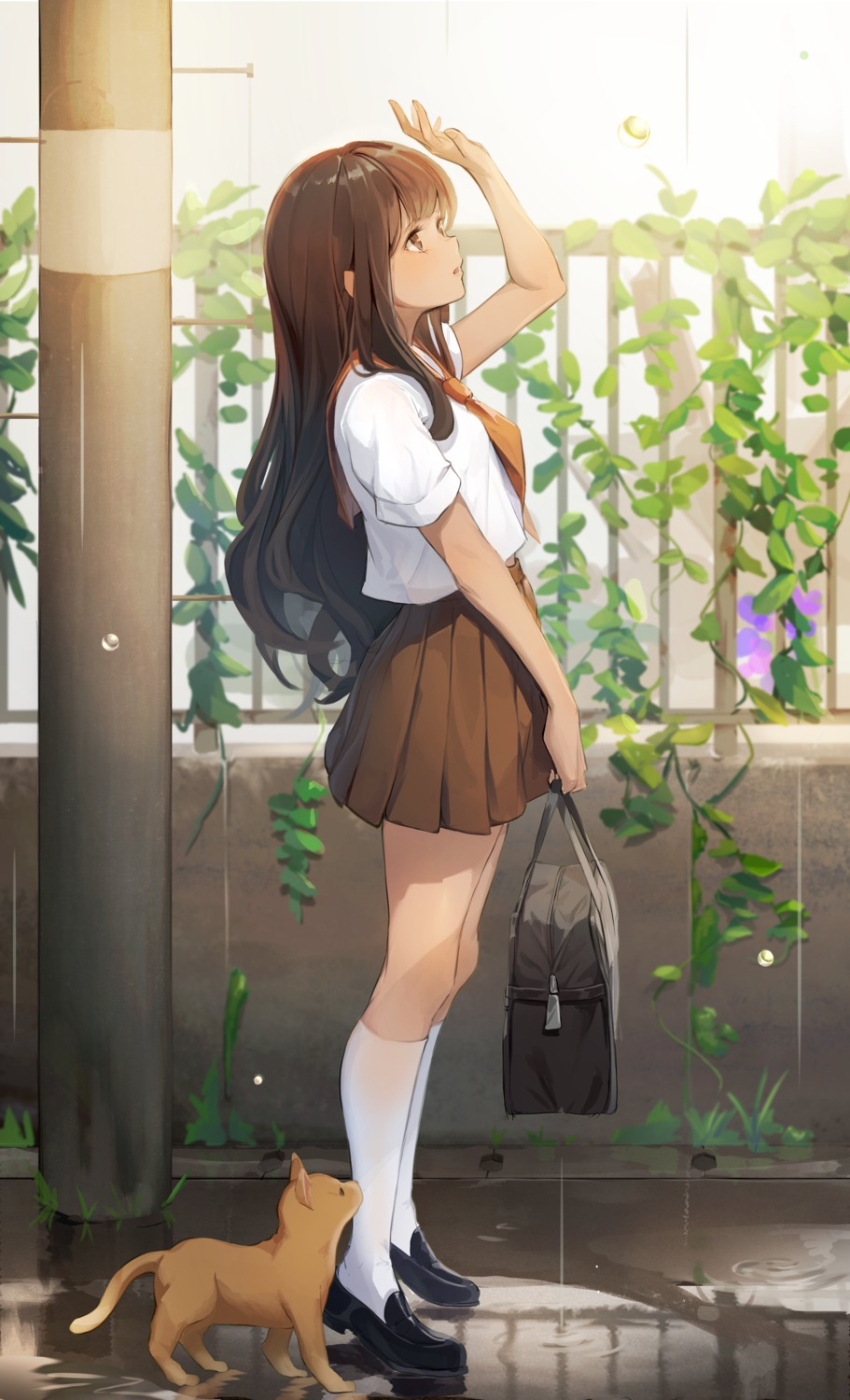dampi, neko, seifuku