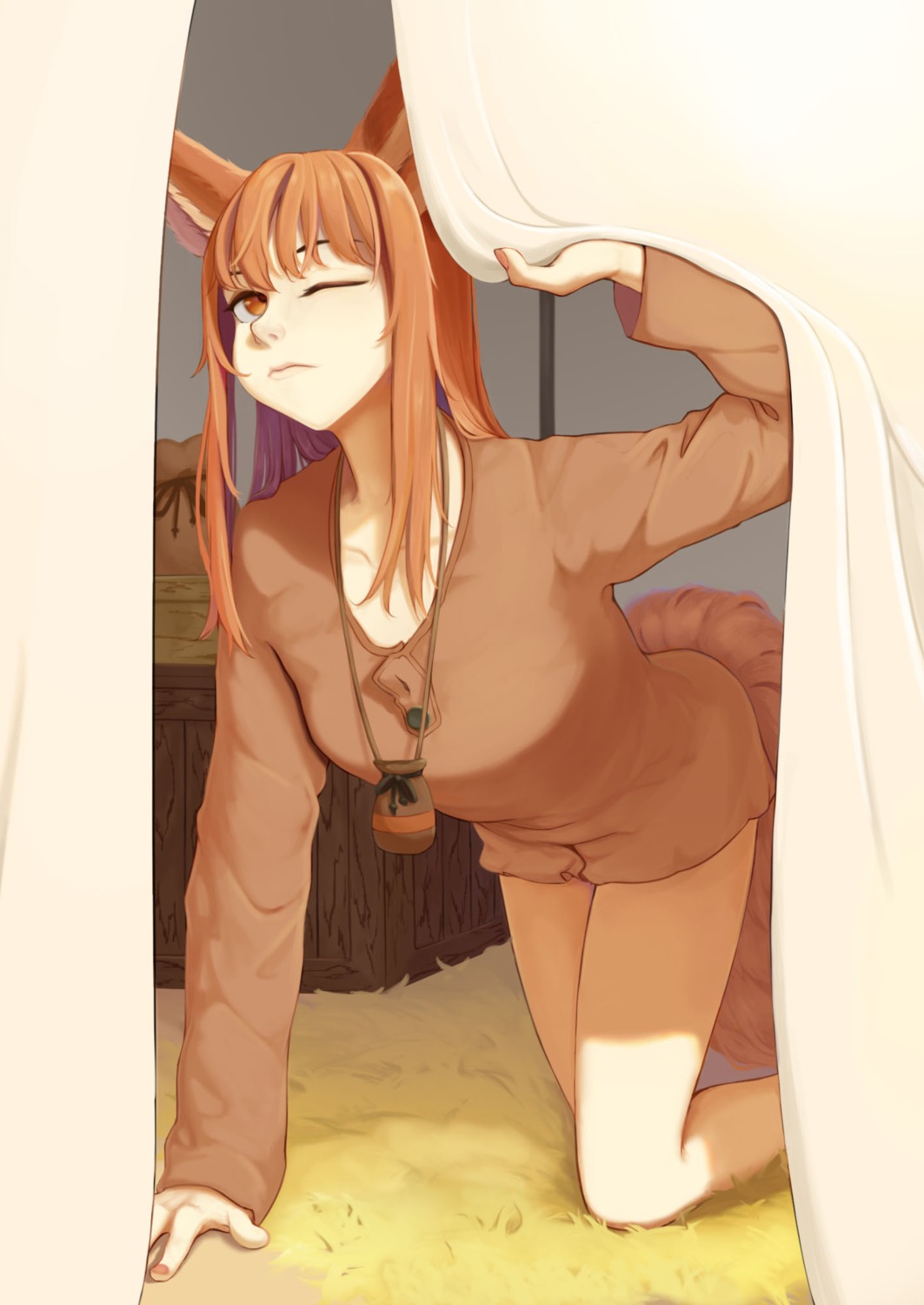 animal_ears, holo, riozoz, spice_and_wolf, tail