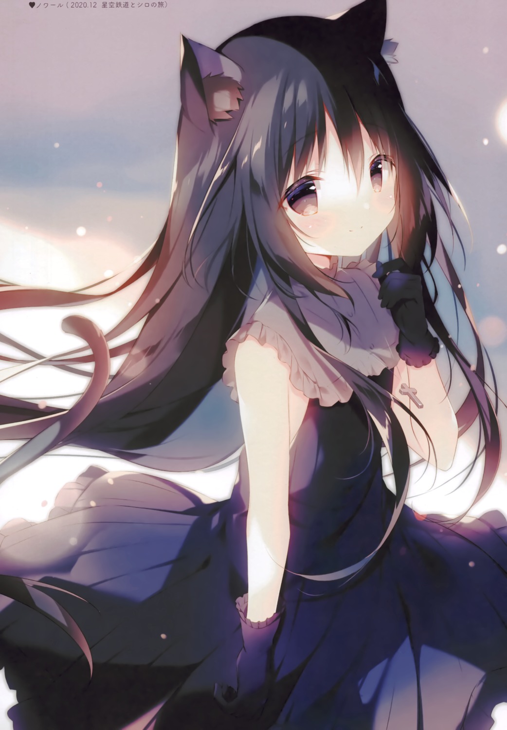 animal_ears, dress, hoshizora_tetsudou_to_shiro_no_tabi, nekomimi, noir_(hoshizora_tetsudou_to_shiro_no_tabi), shiratama, shiratamaco, skirt_lift