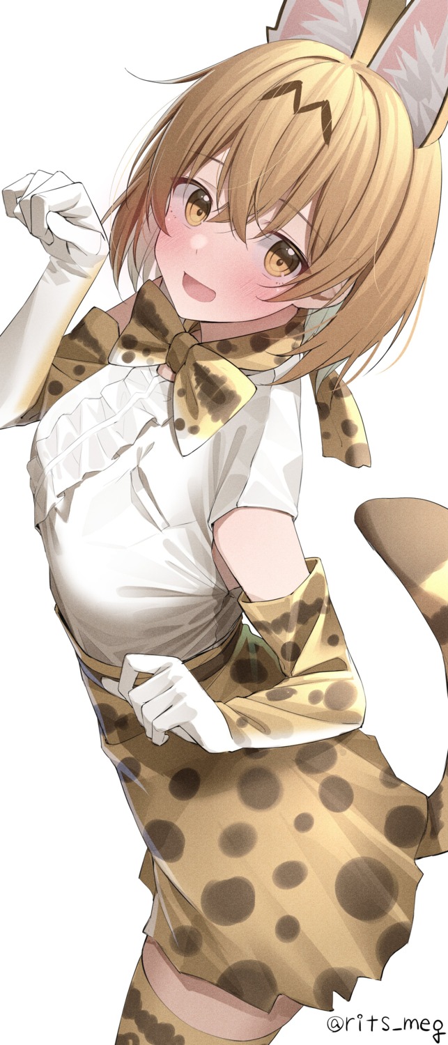 animal_ears, kawai_ritsu_(rits_meg), kemono_friends, serval, tail, thighhighs
