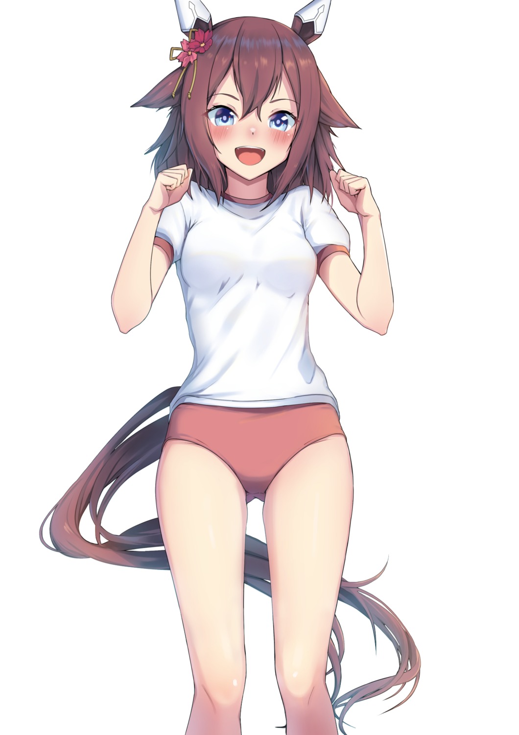 animal_ears, buruma, gym_uniform, sakura_chiyono_o_(umamusume), tail, uma_musume_pretty_derby
