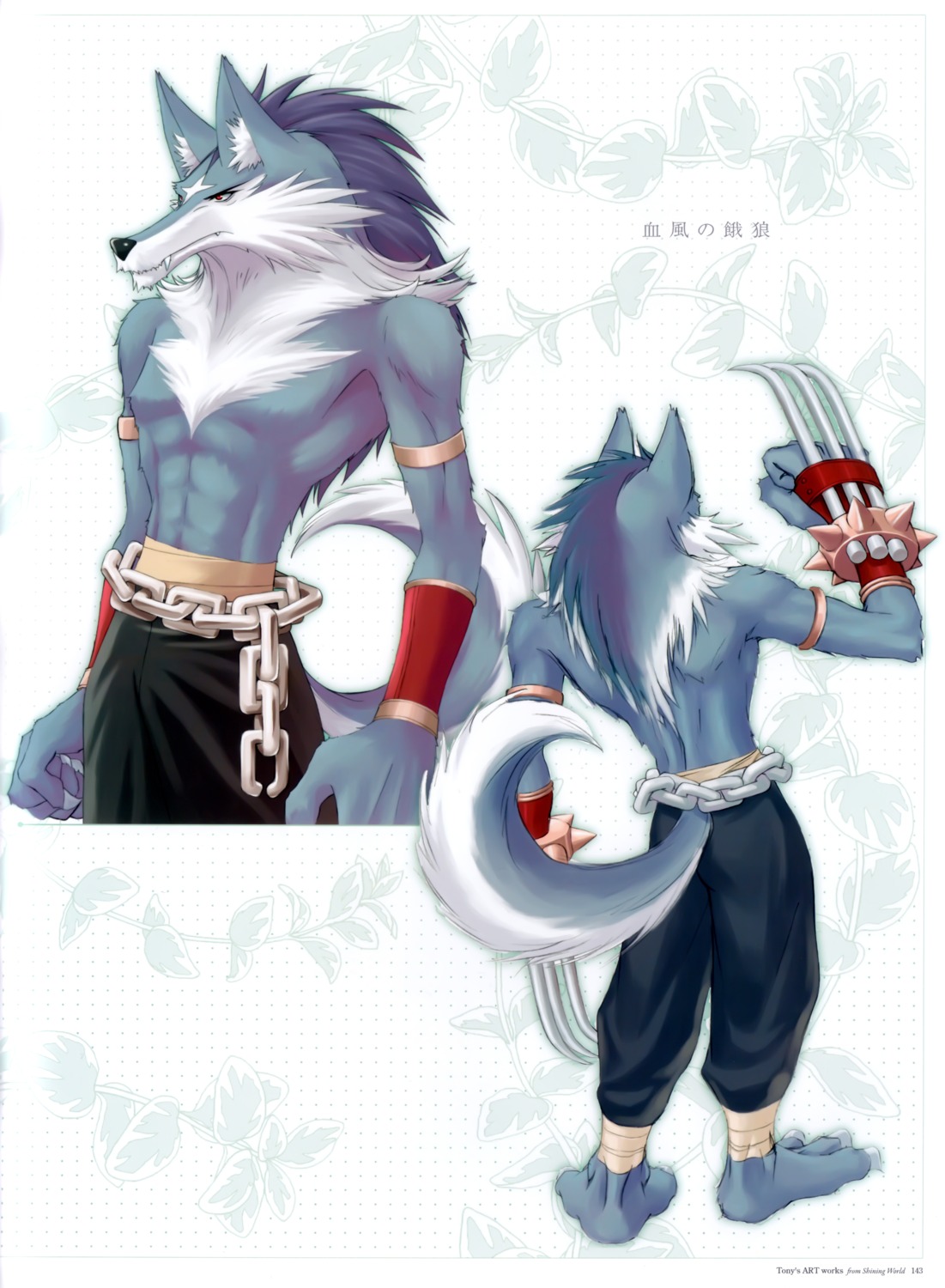 male, shining_tears, shining_world, tony_taka, volg